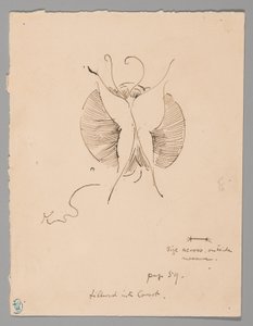 Borboleta (frente); Fragmento de borboleta (verso) de James McNeill Whistler