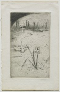 Cisne e íris