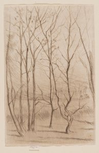 A Madeira da Barragem de James Abbott McNeill Whistler