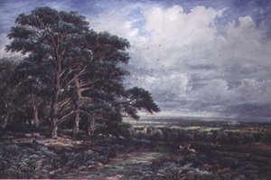 Bradgate Park perto de Leicester, aquarela