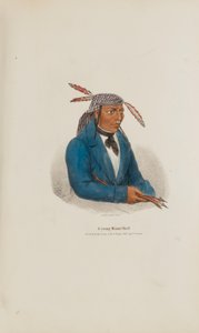 Um jovem chefe de Miami, de The Aboriginal Portfolio de James Otto Lewis