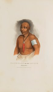 MA-CHE-KA-KAT ou o Falcão Mau; um chefe Monomonie, de The Aboriginal Portfolio de James Otto Lewis