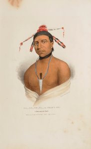 MA-KO-ME-TA ou o óleo do urso; um chefe de Monomonie, de The Aboriginal Portfolio de James Otto Lewis