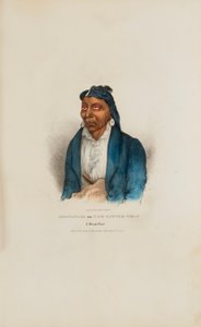 MO-WAN-ZA ou O Lobinho; um chefe de Miami, de The Aboriginal Portfolio de James Otto Lewis