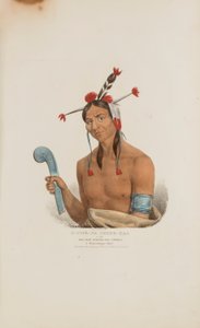 O-CHE-NA-SHINK-KAD ou o homem que se levanta e ataca; um chefe Winnebago, de The Aboriginal Portfolio de James Otto Lewis