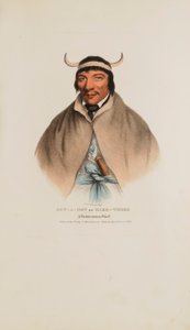 SUN-A-GET ou Tempos Difíceis; Um Chefe Pottawatomie, de The Aboriginal Portfolio de James Otto Lewis