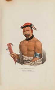 WADT-HE-DOO-KAANA; Chefe dos Winnebagoes, de The Aboriginal Portfolio de James Otto Lewis