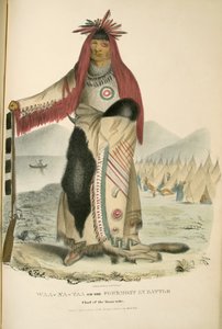 Waa-Na-Taa ou o primeiro na batalha de James Otto Lewis