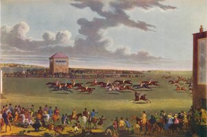 Corridas de Newmarket, 1909. de James Pollard