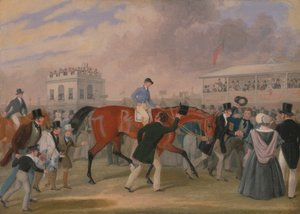 The Derby Pets: O Vencedor de James Pollard