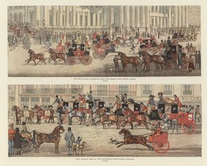 Transporte de ônibus e cavalos