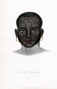 Nativo de Moçambique, c1850. de James Prichard