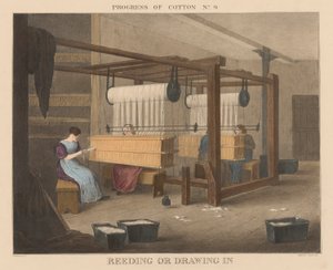 Progresso do Algodão: #9 - Reeding ou desenho de James Richard Barfoot