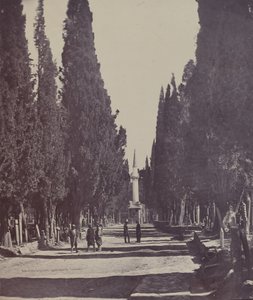 Vue dans le Grand Cimetière de Scutari (Cena no Grande Cemitério de Scutari) de James Robertson