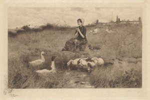 Sem título (Me ame, não me ame) de James S. King