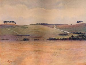 "Chobham Common", 1911, 1914 de James S Ogilvy