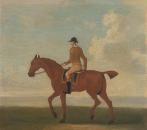 Um dos Quatro Retratos de Cavalos - um cavalo de corrida de castanhas com Jockey Up: a andar para a esquerda; jockey de casaco amarelo choque