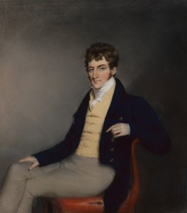 Retrato de um cavalheiro de colete amarelo, c.1795 (pastel sobre papel) de James Sharples