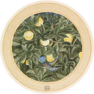 O colibri de James Smetham