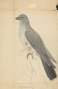  de James Sowerby