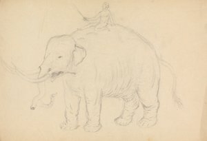 Elefante com Cavaleiro de James Sowerby