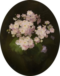 Primulas, século 20 (óleo sobre tela) de James Stuart Park