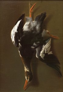 Dead Fowl, c.1815 (óleo sobre tela) de James Thom