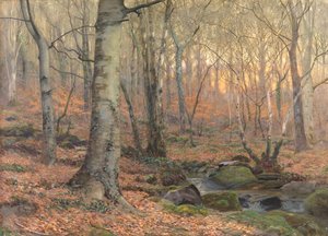 Russet e Gray: um galês Beechwood (w - c)