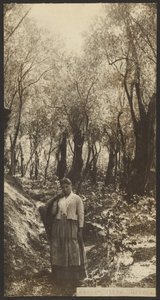 Missa - Bosque das Oliveiras de James W. Holcombe