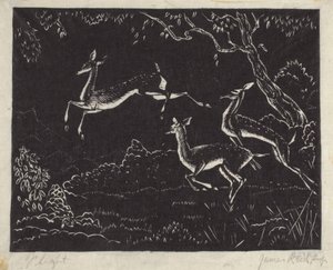 Voo (impressão em bloco de madeira) de James W. Reid