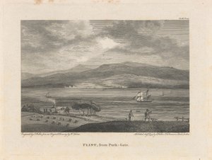 Flint, de Park-Gate