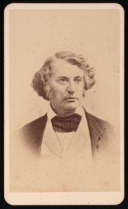 Retrato de Charles Sumner 1811-1874, Antes de 1874.