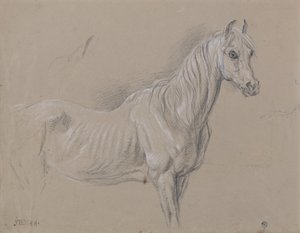 A Mare: possivelmente um estudo para &39;Horse Love&39; de James Ward