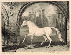 Um cavalo persa, de &39;Celebrated Horses&39;, um conjunto de catorze impressões de corrida publicadas pelo artista, 1823-24
