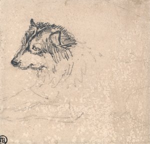 Cão do Ártico, virado para a esquerda de James Ward
