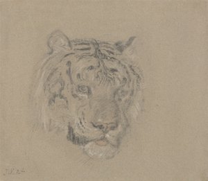 Cabeça de tigre de James Ward