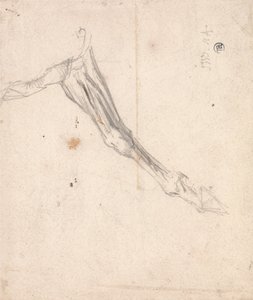 Perna dianteira do cavalo - Possivelmente um estudo para L&39;Amour de Cheval, datado de 1827, na Galeria Tate de James Ward