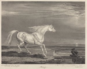 Marengo de James Ward