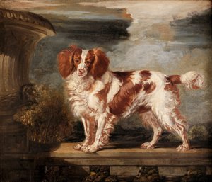 Retrato de Dash, um Spaniel Favorito, a Propriedade de Lady Frances Vane-Tempest de James Ward