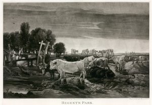 Regent&39;s Park, em Londres; pintado 1807 de James Ward