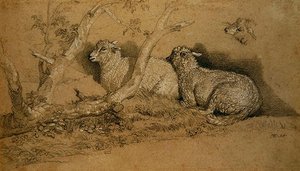 Descanso das Ovelhas num Cobre arborizado e Estudo da Cabeça de Ovelha (giz preto e branco sobre papel cinzento) de James Ward