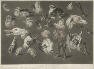 Estudos da natureza, 1807 de James Ward