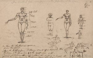 Estudos de Anatomia, Medidas e Escrita de James Ward