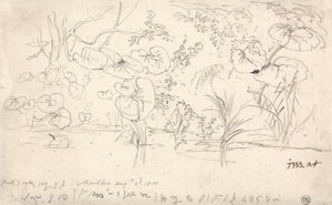 Estudos de Plantas, 2 de Agosto de 1815 de James Ward
