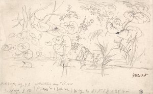 Estudos de Plantas, 2 de agosto de 1815 de James Ward