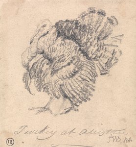 Estudo de uma Turquia de James Ward