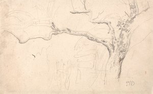 Estudo de árvores de James Ward