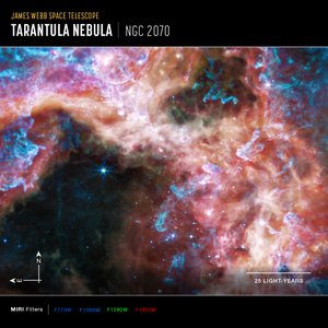 30 Doradus (Imagem da Bússola MIRI) de James Webb Space Telescope (NASA)