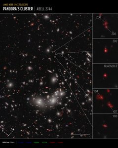 Protocluster de galáxias (Imagem da NIRCam Compass) de James Webb Space Telescope (NASA)