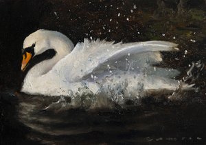 O Cisne Dançante de James Zamora